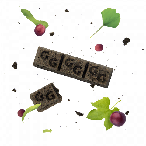 Equibar Hemofluid 600gr - Guidolin