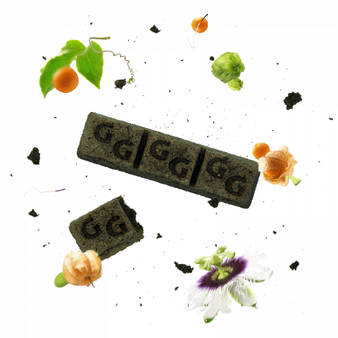 Equibar Adaptative 600gr - Guidolin