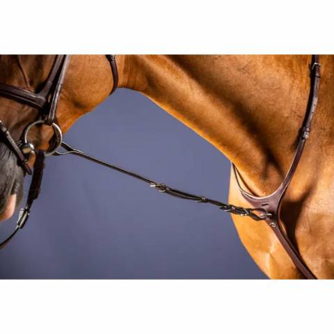 Fourchette de martingale fixe - Dy'on