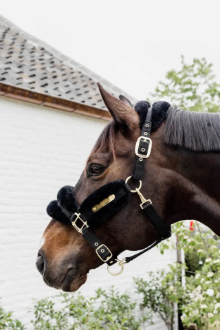 Licol nylon mouton Soft - Kentucky