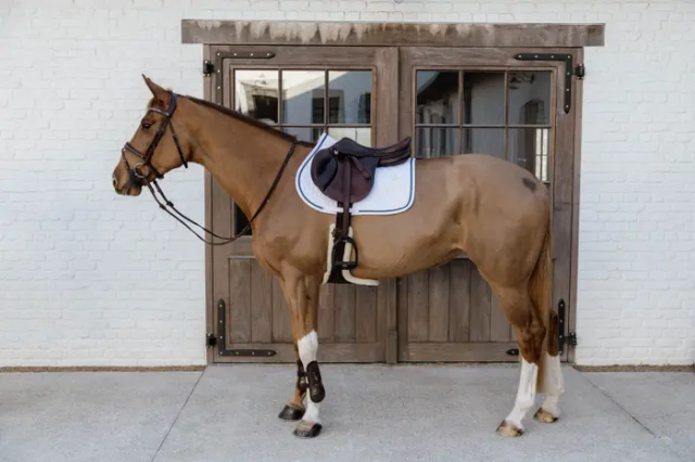 Tapis de selle Glitter Rope Blanc/Marine- Kentucky