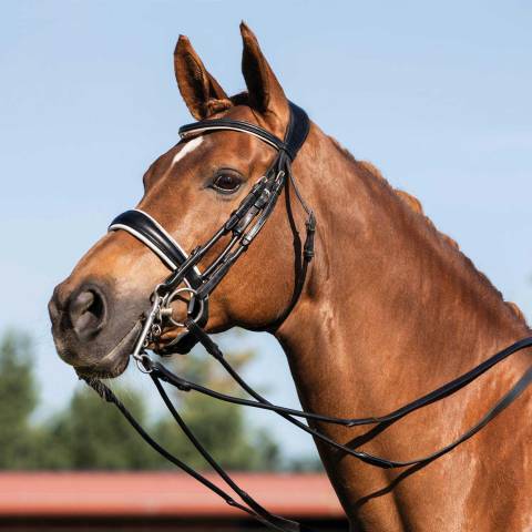 Bride ACAVALLO dressage cuir rond Giocanda