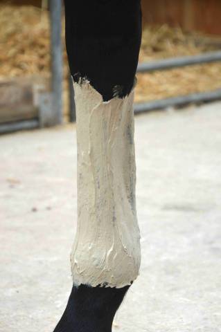 Pâte d'argile Effort Intense - Nutragile