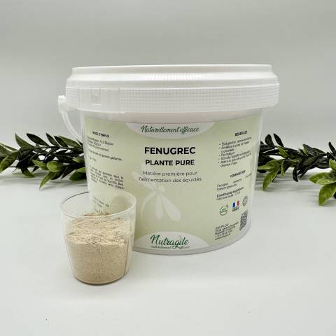 Fenugrec - Nutragile