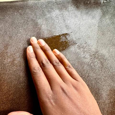 Gel de Massage  Récupération Nutragile