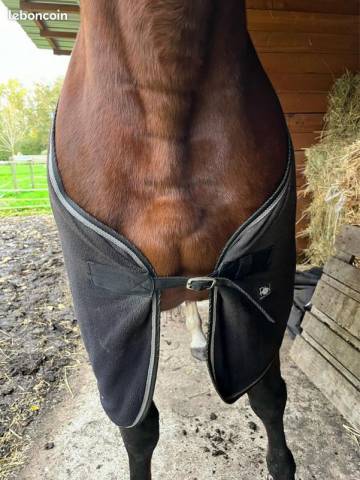 Polaire cheval 145cm