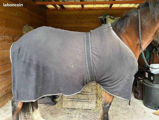 Polaire cheval 145cm