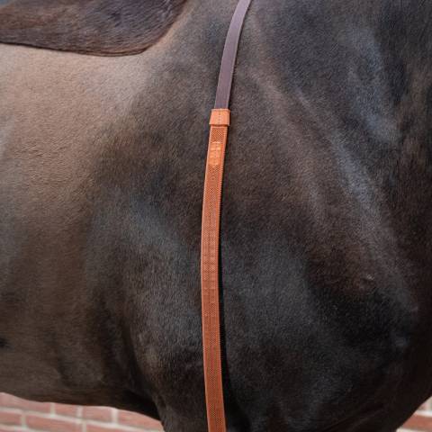 R&ecirc;nes exercice avec D pour enr&ecirc;nement - PETITPAS - Inox