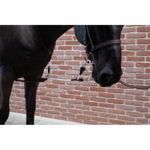 Enrênement irlandais - PETITPAS - Innovation pour chevaux