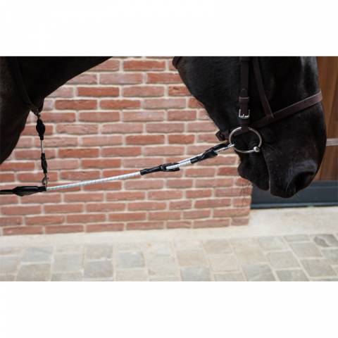 Enr&ecirc;nement irlandais - PETITPAS - Innovation pour chevaux