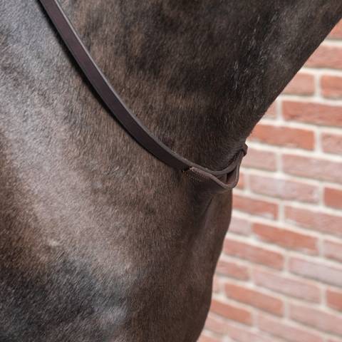 Collier de martingale Petitpas - Cuir Brun