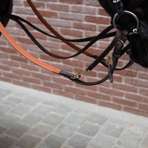 Martingale Howlett cuir Petitpas