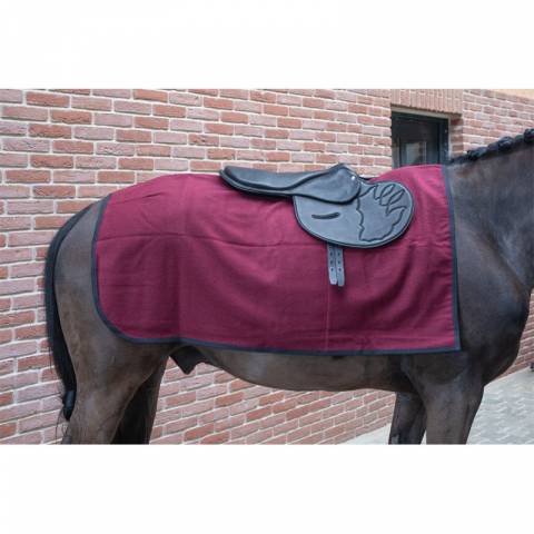 Couvre-reins de sortie - PETITPAS - Protection optimale