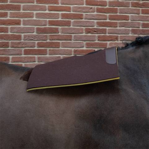 Tapis feutre double mousse de course - PETITPAS - Esthétique et solide