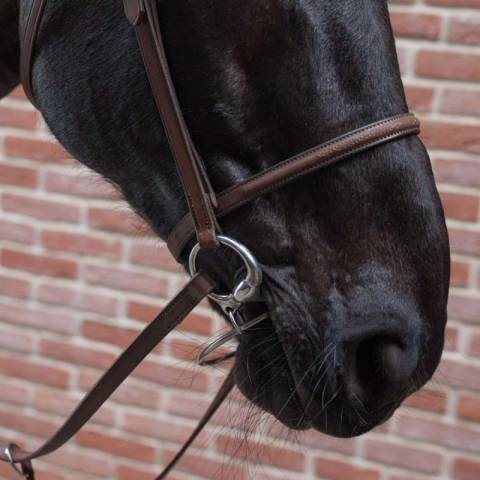 Bride de course cousue - Petitpas - &Eacute;l&eacute;gance artisanale