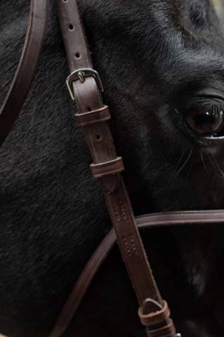 Bride de course anti-tireur cuir - PETITPAS - 100% cuir