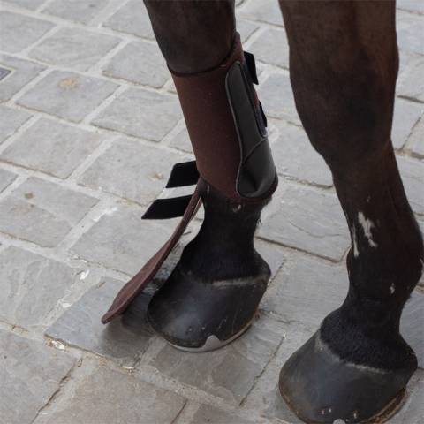 Gu&ecirc;tre ant&eacute;rieurs 66 - PETITPAS - Renfort tendon et boulet