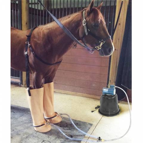Bottes de balnéothérapie pour cheval