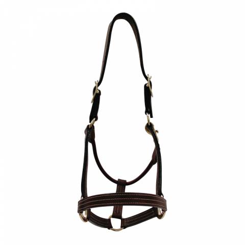 Licol cuir - Petitpas