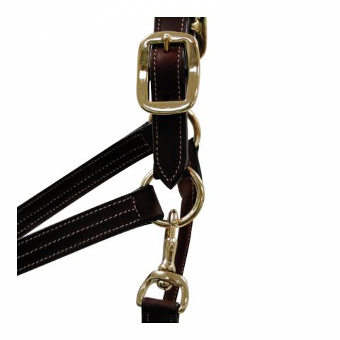 Licol cuir - Petitpas