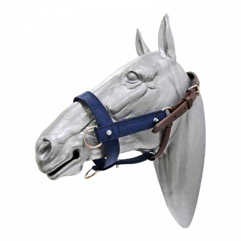 Licol robuste pour le débourrage des poulains