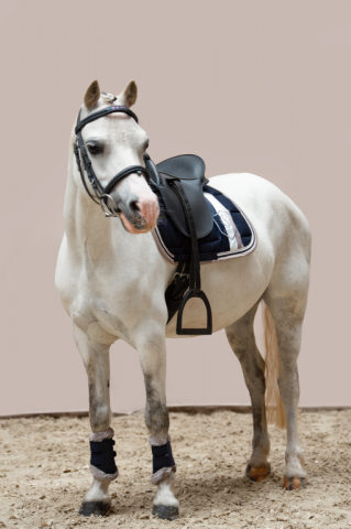 Tapis de selle Big Square Cotton Classic Sports 2024 - Eskadron