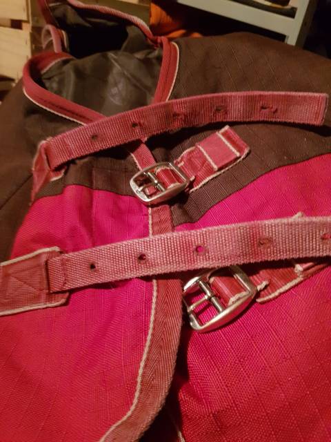 Couverture Weatherbeeta extérieur 5'6 (120 cm)