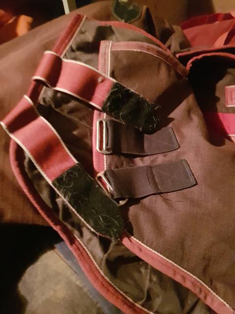 Couverture Weatherbeeta extérieur 5'6 (120 cm)