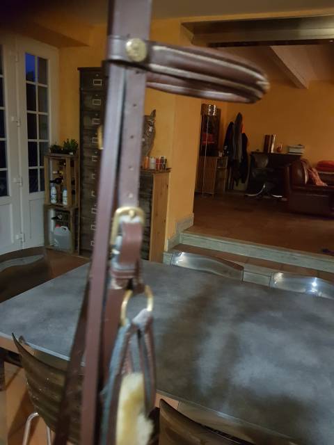 Filet poney cuir anglais demi-rond havane