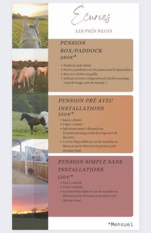 Pension chevaux 
