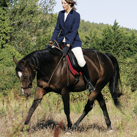 Bride sans mors Side pull Partners