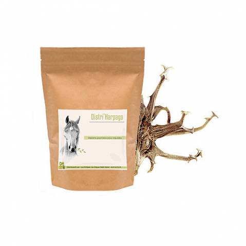 Harpago Cheval - Arthrose cheval