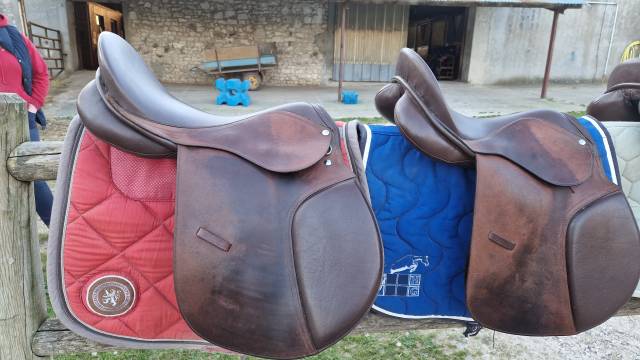 Selles Campale 17" 17,5"