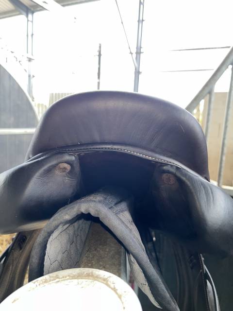 Selle Forestier Boeckelo 2021 