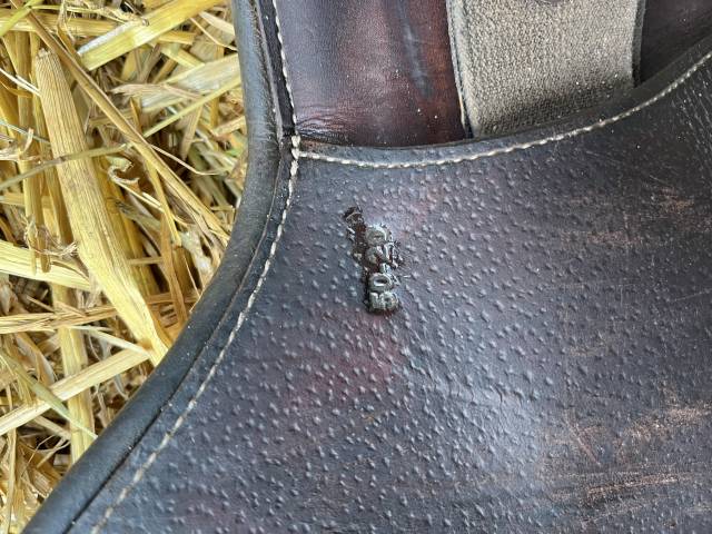 Selle Forestier Boeckelo 2021 