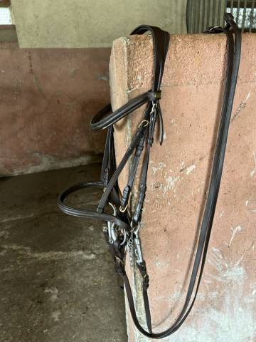 Bride dressage Eric Thomas Marron taille cheval