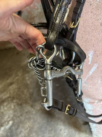 Bride dressage Eric Thomas Marron taille cheval