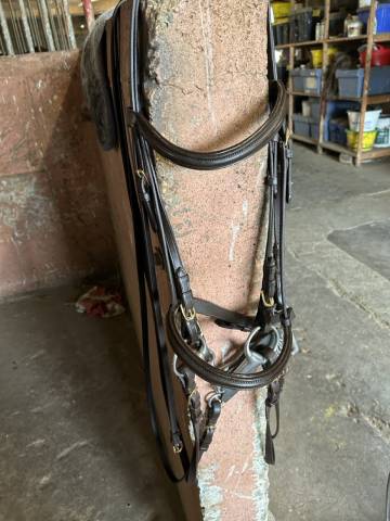 Bride dressage Eric Thomas Marron taille cheval