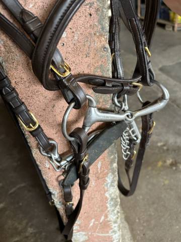 Bride dressage Eric Thomas Marron taille cheval