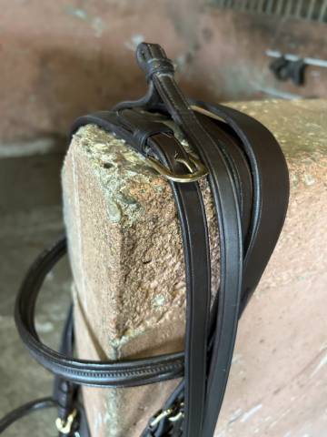 Bride dressage Eric Thomas Marron taille cheval