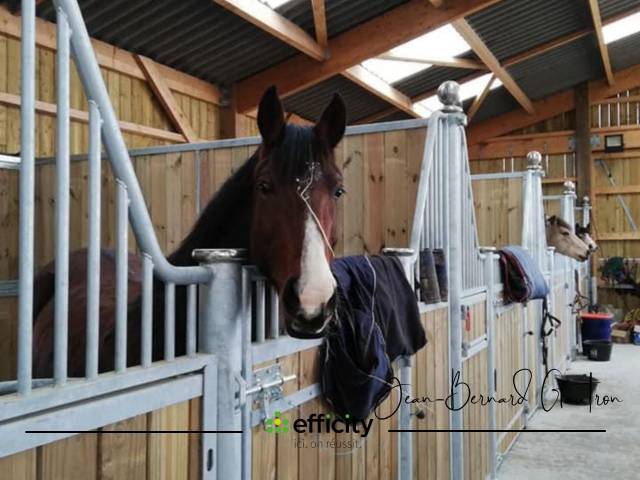 Ecurie de proprietaire - centre equestre - 10 ha