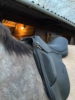 Selle dressage Thorowgood