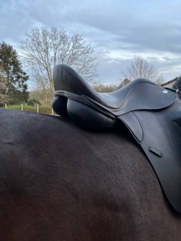 Selle dressage Thorowgood