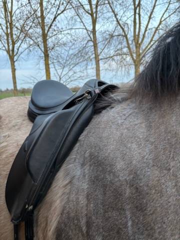 Selle dressage Thorowgood