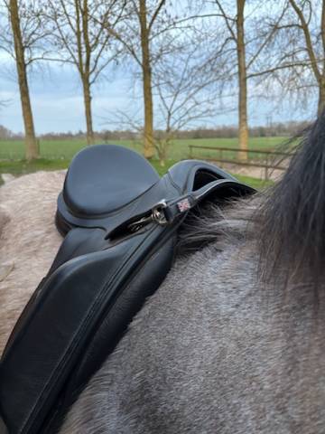 Selle dressage Thorowgood