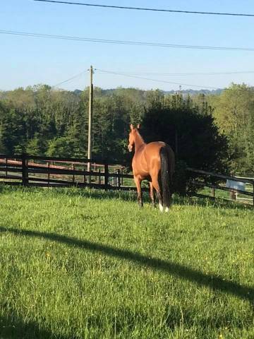 Pensions, coaching, valorisation, bien être