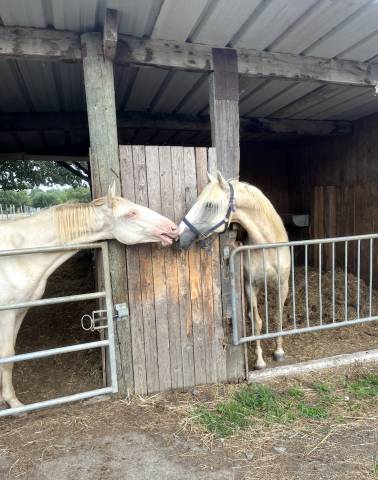 Pension familiale 44850 thouare sur loire