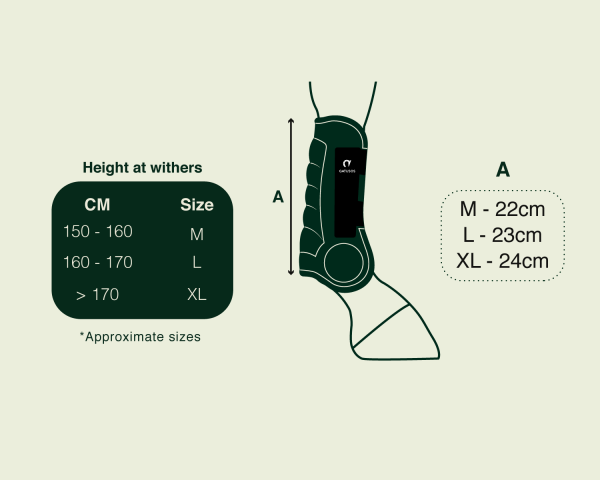 Guêtres antérieurs Gatusos Deluxe