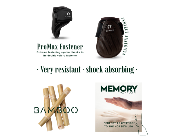 Guêtres antérieurs Gatusos Pegasus