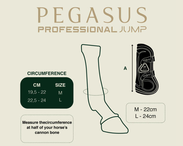 Guêtres antérieurs Gatusos Pegasus